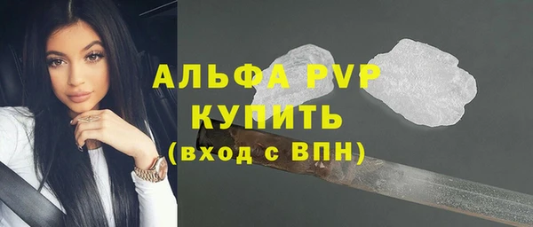 гашик Белокуриха