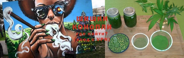 гашик Белокуриха