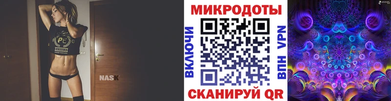 где можно купить наркотик  Костерёво  Галлюциногенные грибы Psilocybe 